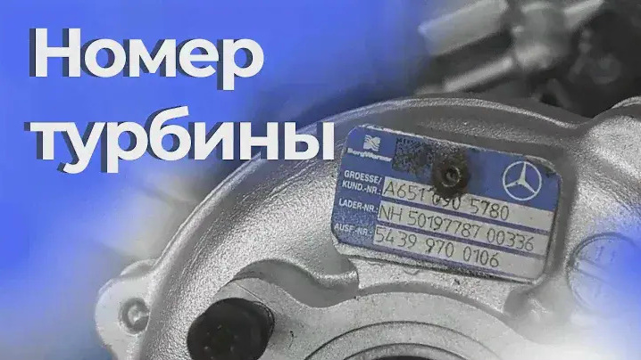 ��� ��������� ������� �� ������: ������� ������ | ��������